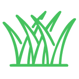 manicured